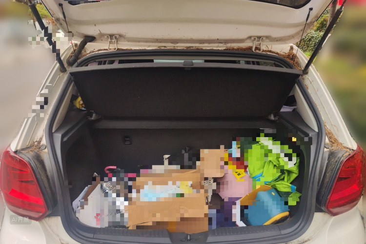 Polo 2016 immagine di auto #21