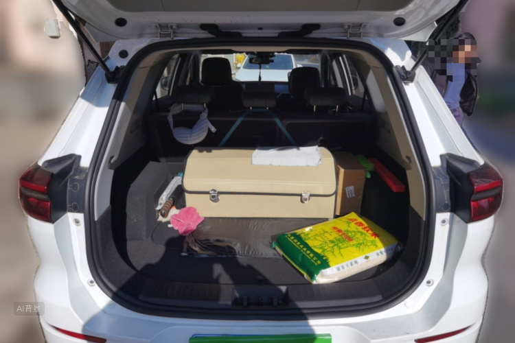 Chery Tiggo 8 2021 immagine di auto #21