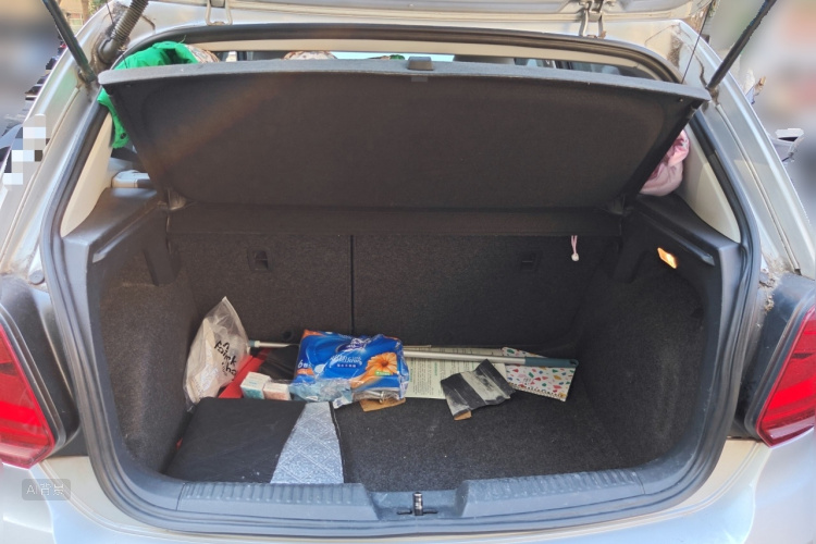 Polo 2015 immagine di auto #21