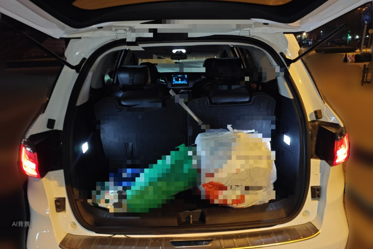 BYD 2019 car image #21