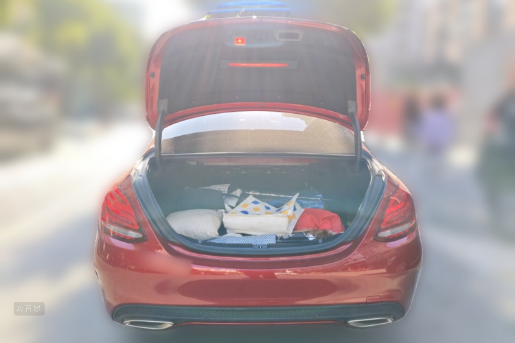 Mercedes-Benz C Class 2018 car image #21