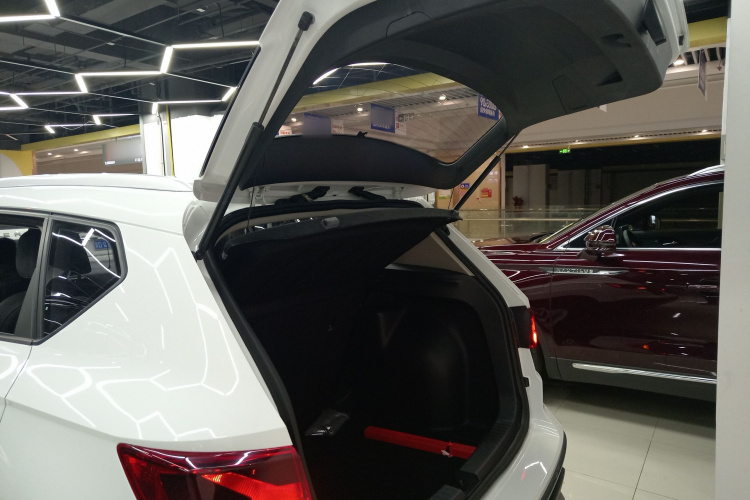 VS5 2020 car image #21