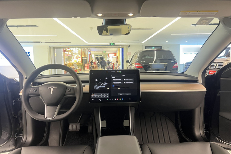 Tesla Model 3 2020 immagine di auto #21