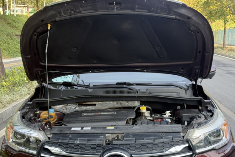 GAC Trumpchi GS4 2017 car image #21