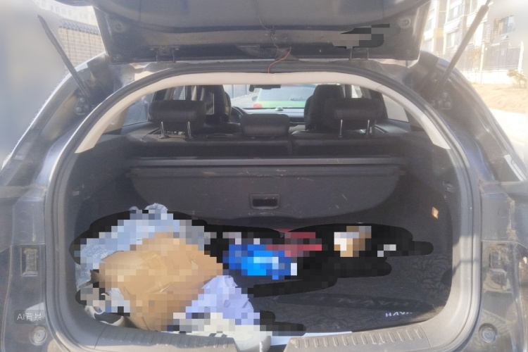 Haval F7 2018 car image #21