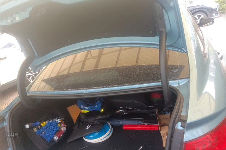 Emgrand GL New Energy 2019 car image #21