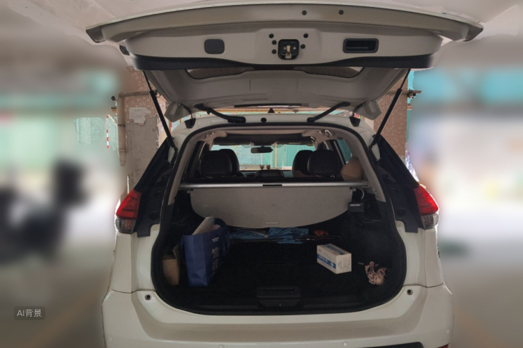 Nissan X-Trail 2017 car image #21