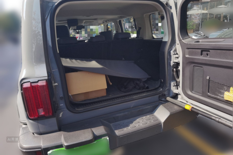 Tank 300 2022 #21 Tank 300 2022 car image #21