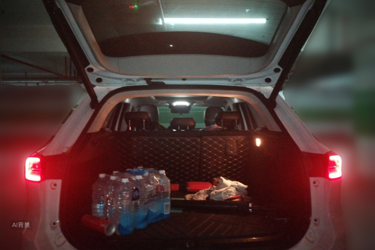 Exceed Lingyun 2019 car image #21