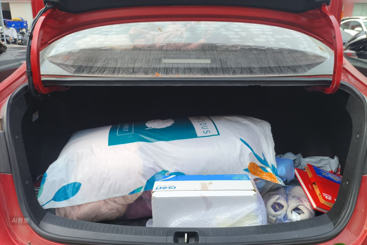 Toyota Levin 2019 car image #21