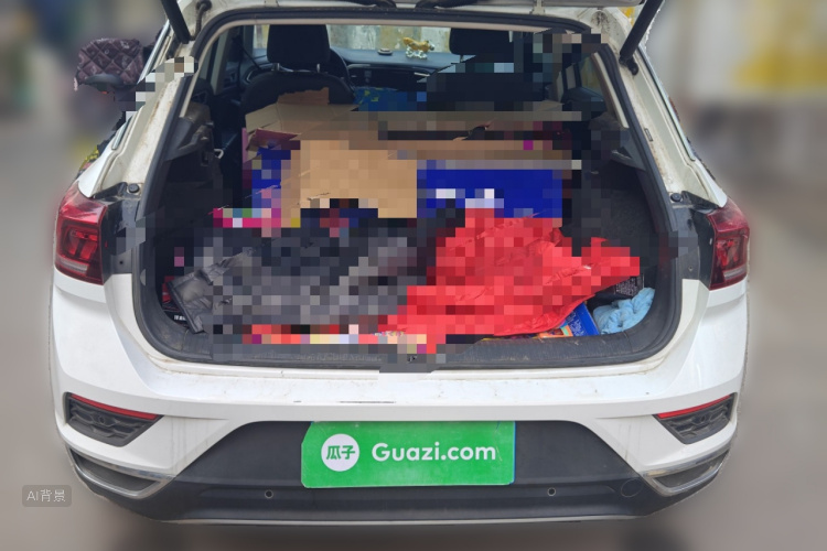 T-Roc 2019 car image #21