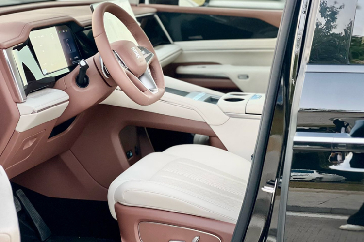 BYD Xia 2025 car image #21