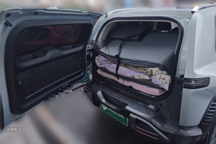 FangChengBao Tiger 3 2025 car image #21