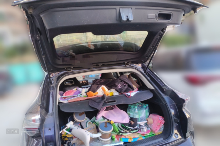 Neta U 2021 imagen de coche #21