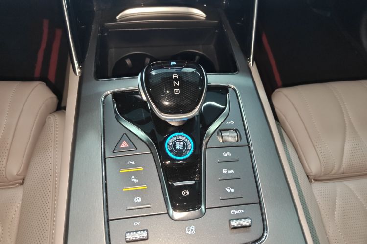 BYD Tang New Energy 2024 car image #21