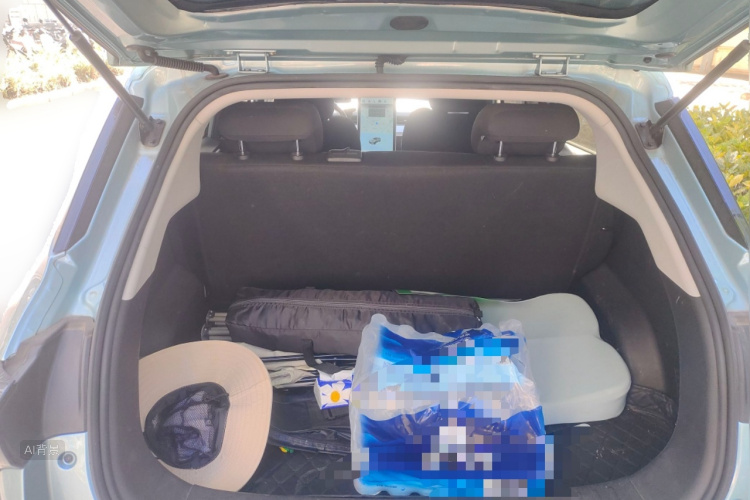 Neta V 2022 imagen de coche #21