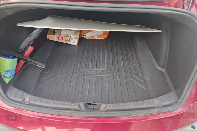 特斯拉 Model 3 2020 汽车图片 #21