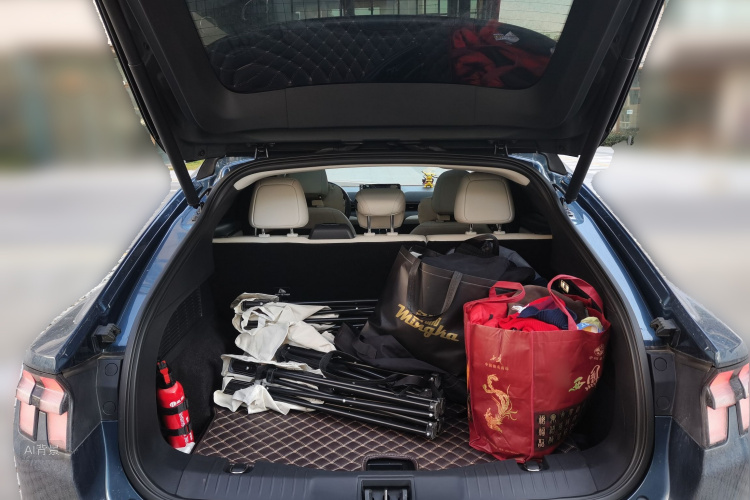 Ford Mustang Mach-E 2023 car image #21