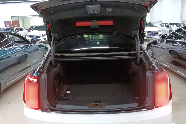 HongQi H9 2021 car image #21