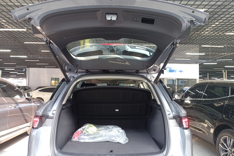 BYD Sea Lion 05 DM-i 2025 image de voiture #21