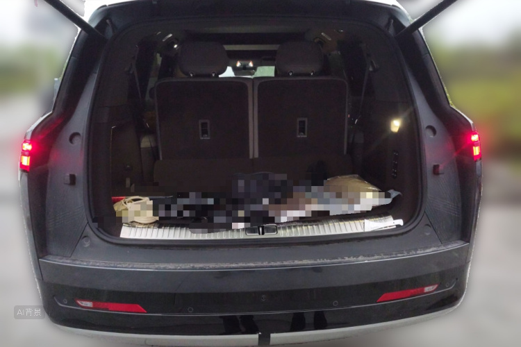 Denza N9 2025 car image #21