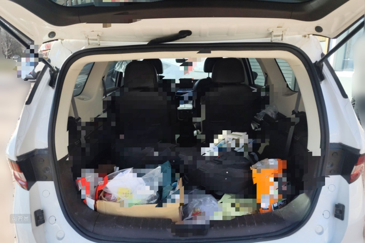 睿蓝汽车 枫叶80v 2022 汽车图片 #21