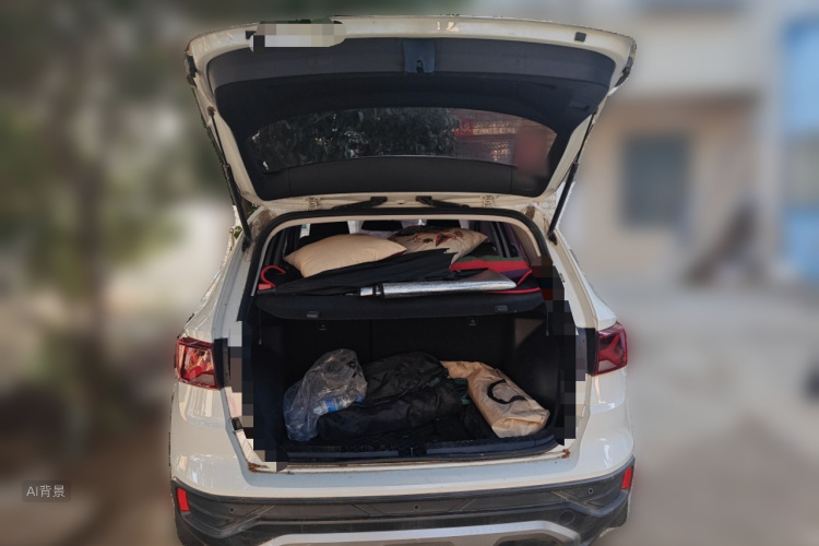 2020 #21 2020 car image #21