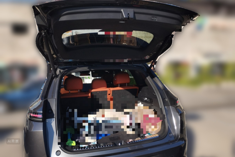 Li L7 2023 car image #21
