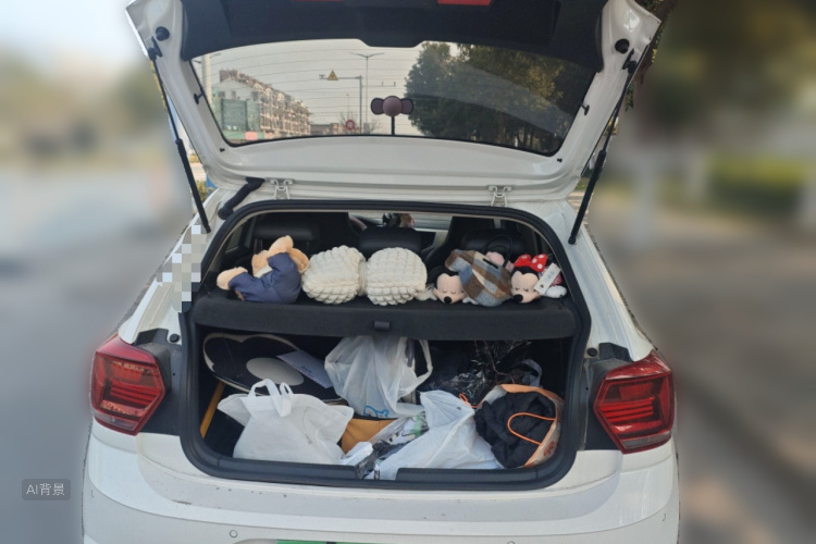 大众 Polo 2021 汽车图片 #21