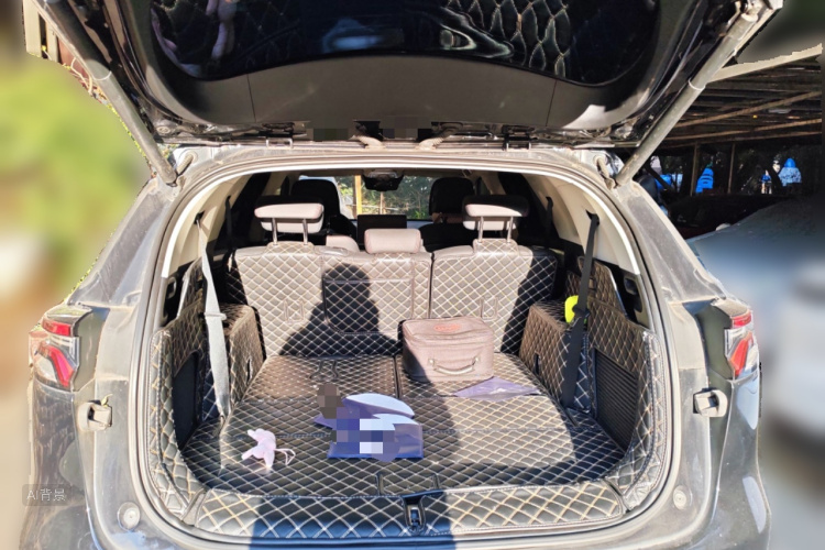 BYD Tang New Energy 2019 car image #21