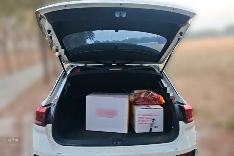 T-Roc 2018 car image #21