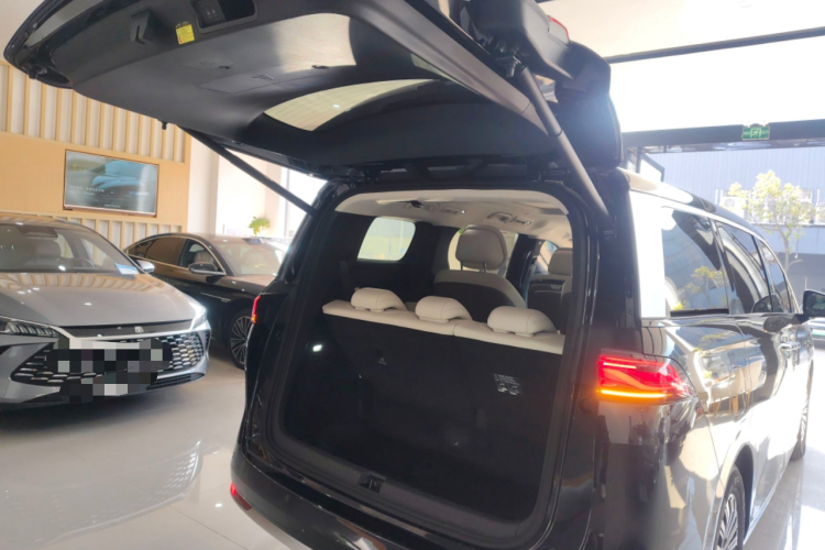 BYD Xia 2024 imagen de coche #21