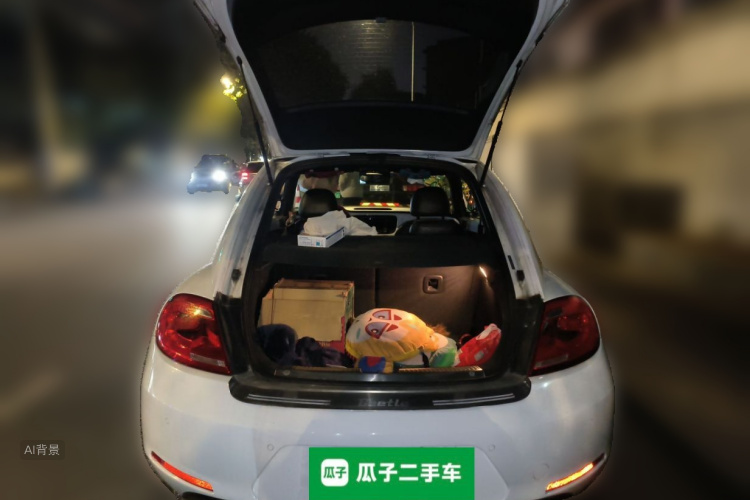 Volkswagen Beetle 2016 immagine di auto #21