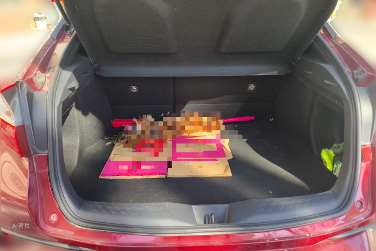 Toyota Izoa 2019 car image #21