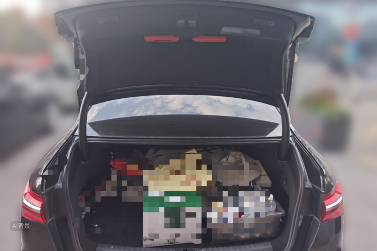 Audi A6L New Energy 2020 car image #21