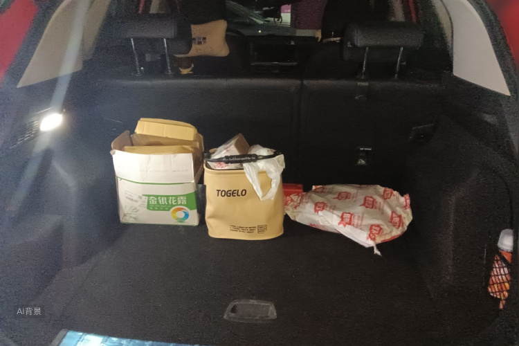 GEELY Coolray New Energy 2019 #21 GEELY Coolray New Energy 2019 car image #21