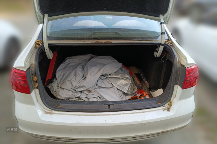 Volkswagen Bora 2016 immagine di auto #21