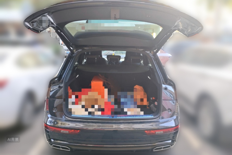 Audi Q5L 2023 car image #21