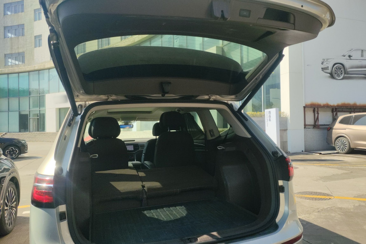 Volkswagen Viloran 2021 car image #21