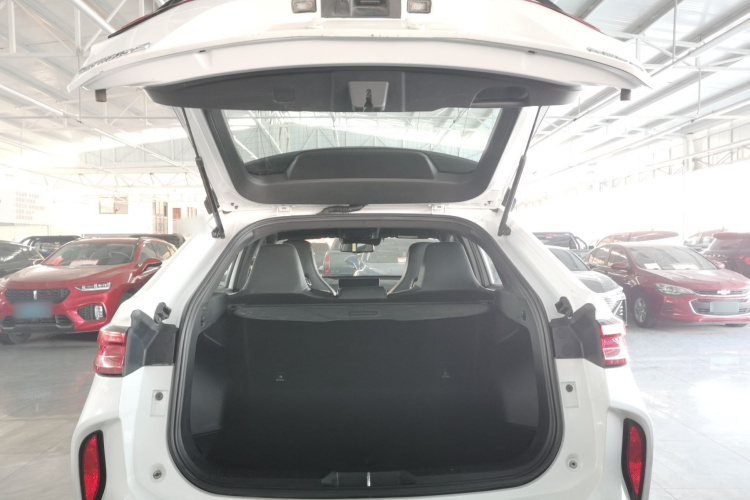 Haval H6S 2021 صورة سيارة #21