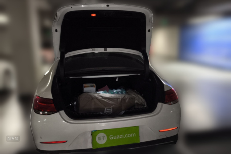 Mercedes-Benz CLS Class 2021 car image #21