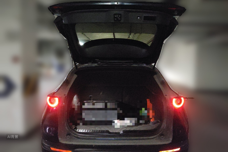 Mazda CX-30 2020 car image #21