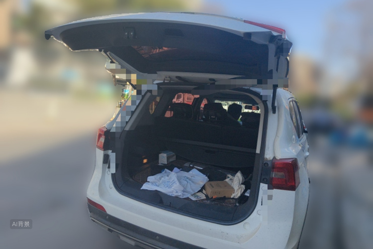 Forthing JOYEAR X5 2017 car image #21