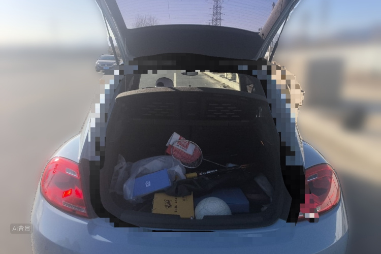 Volkswagen Beetle 2014 immagine di auto #21