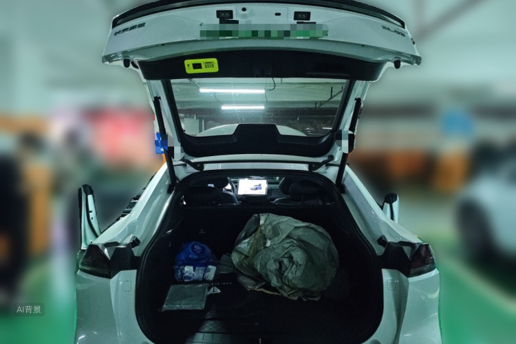 Deepal SL03 2024 car image #21