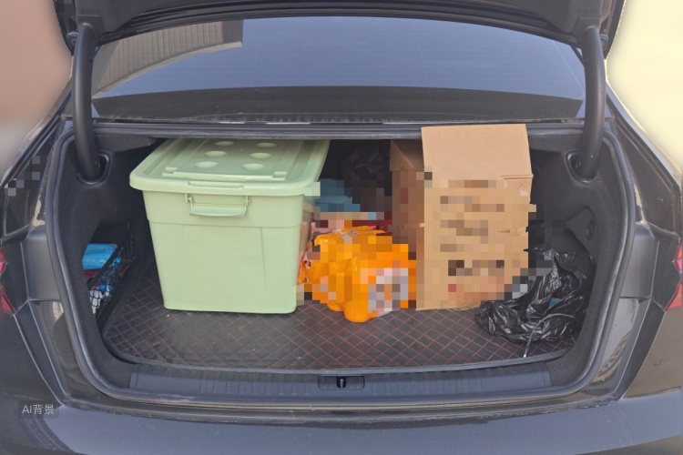 Audi A6L New Energy 2020 car image #21