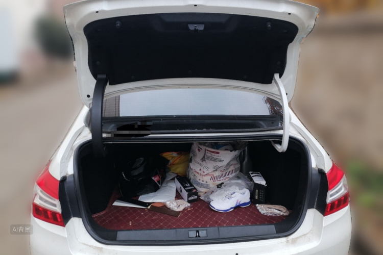 Peugeot 408 2016 car image #21