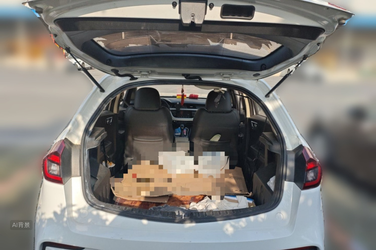 Vision X3 2019 car image #21