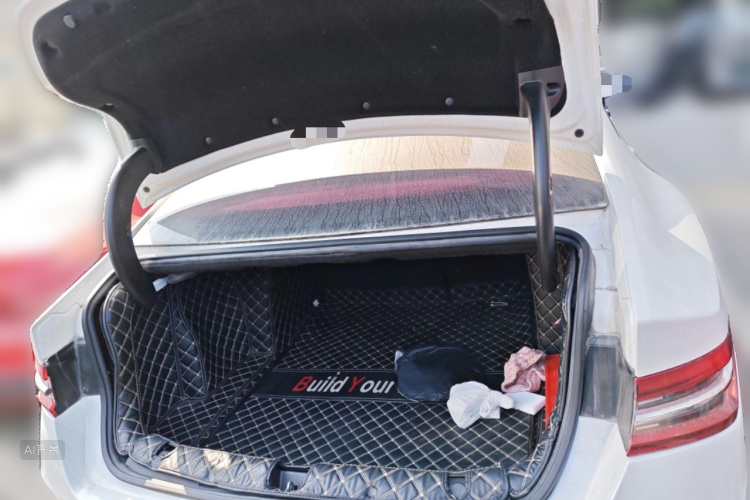 BYD Qin Pro New Energy 2019 #21 BYD Qin Pro New Energy 2019 car image #21