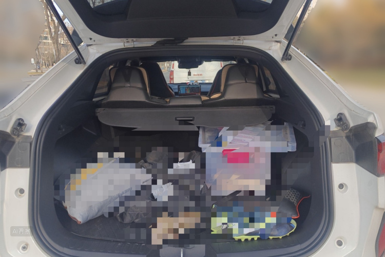 Haval H6S 2022 car image #21